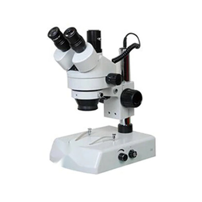 Stereo Microscope