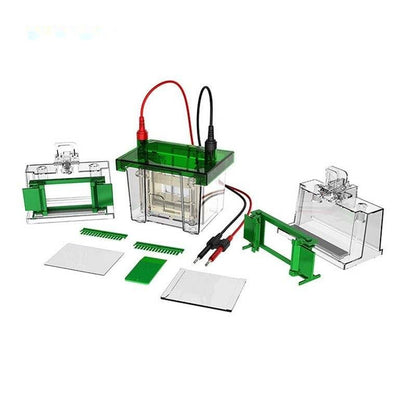 Vertical Electrophoresis Tank