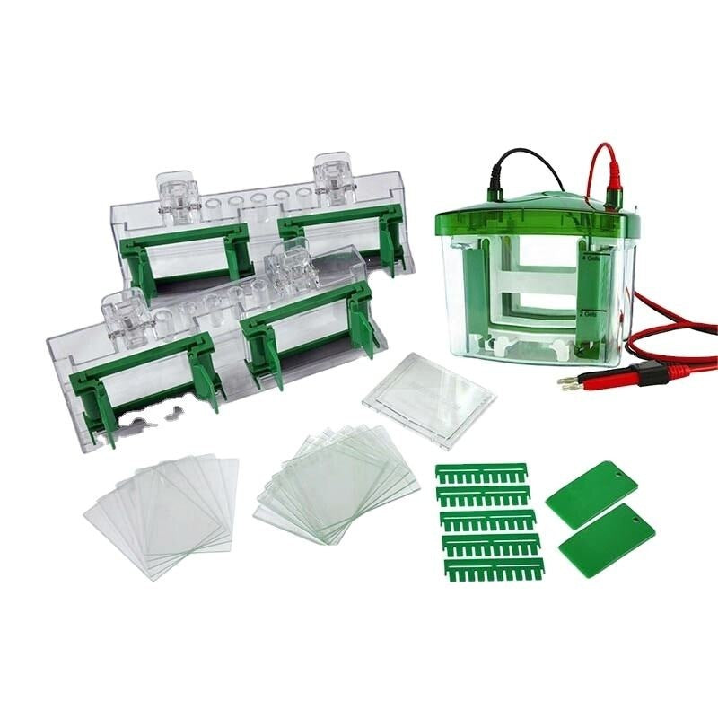 Vertical Electrophoresis Tank