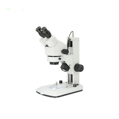 Stereo Microscope